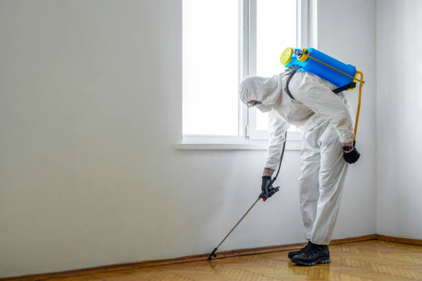 Wasp Removal Services in Batesville, IN